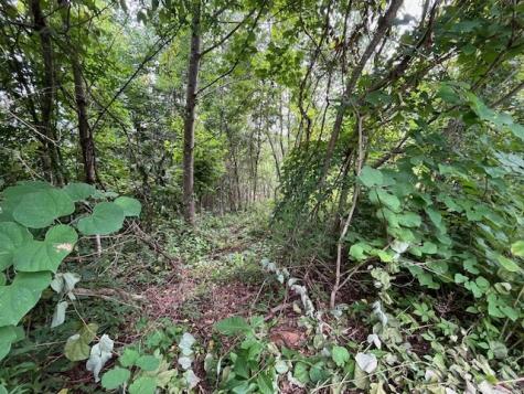 Lot 12 Forest View Drive Hiawassee GA 30546