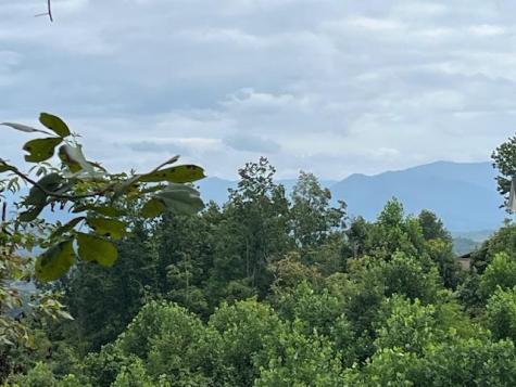 Lot 12 Forest View Drive Hiawassee GA 30546