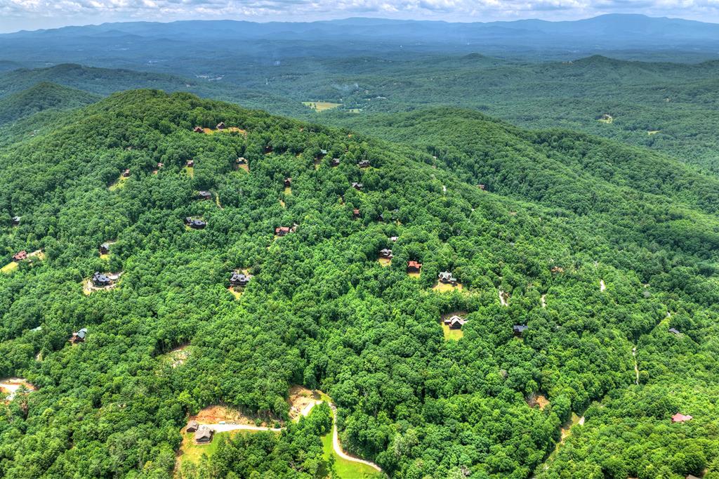 217 Catawba Drive Mineral Bluff GA 30559