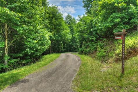 217 Catawba Drive Mineral Bluff GA 30559