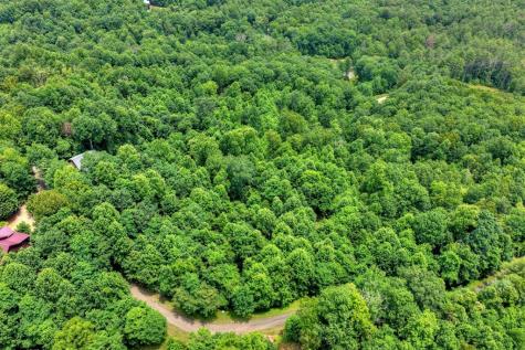 217 Catawba Drive Mineral Bluff GA 30559