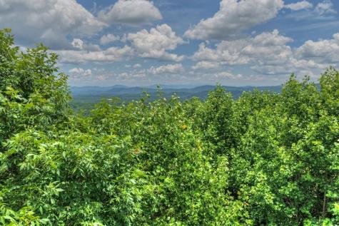217 Catawba Drive Mineral Bluff GA 30559