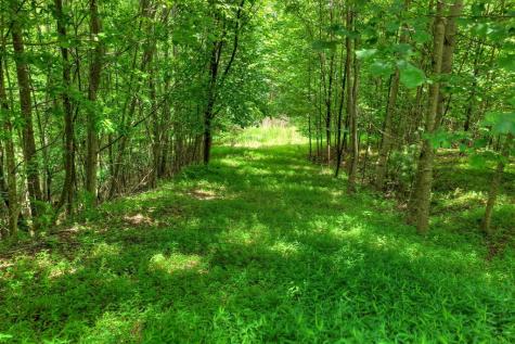 217 Catawba Drive Mineral Bluff GA 30559