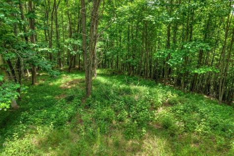 217 Catawba Drive Mineral Bluff GA 30559
