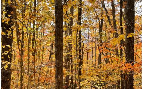 12b Grandview Drive Hayesville NC 28904