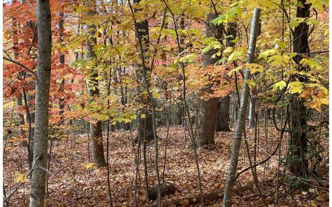 12b Grandview Drive Hayesville NC 28904