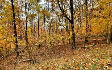 12b Grandview Drive Hayesville NC 28904