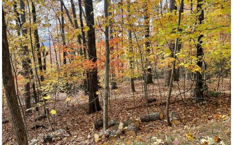 12b Grandview Drive Hayesville NC 28904