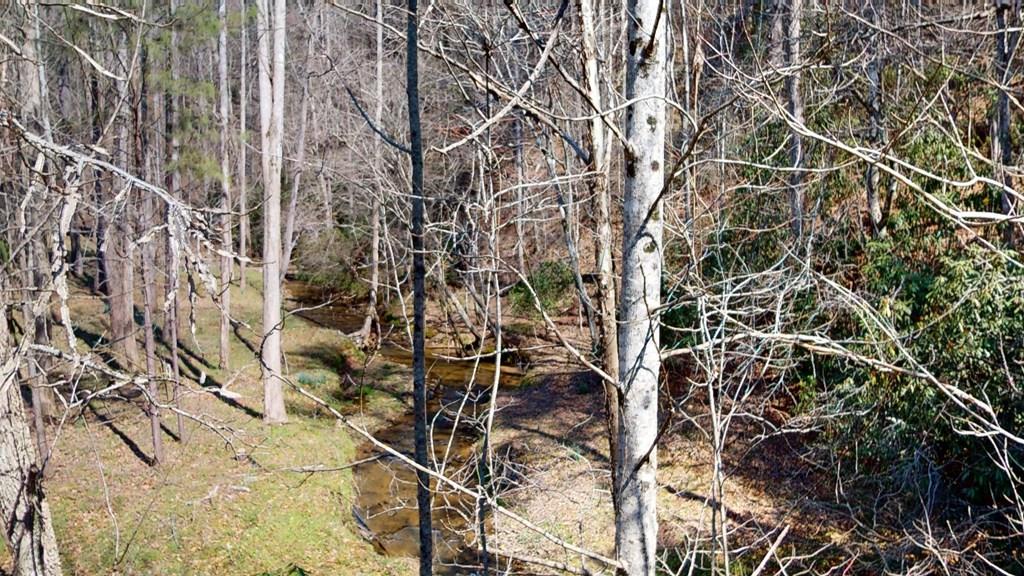 0 Red Oak Trail Ellijay GA 30540