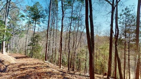 0 Red Oak Trail Ellijay GA 30540