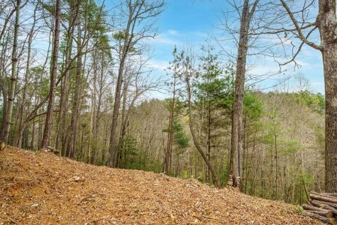 0 Red Oak Trail Ellijay GA 30540