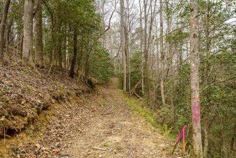 0 Red Oak Trail Ellijay GA 30540