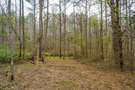 0 Red Oak Trail Ellijay GA 30540