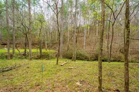 0 Red Oak Trail Ellijay GA 30540