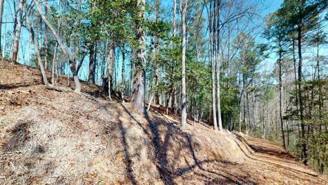 0 Red Oak Trail Ellijay GA 30540