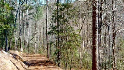 0 Red Oak Trail Ellijay GA 30540