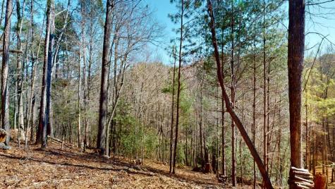0 Red Oak Trail Ellijay GA 30540