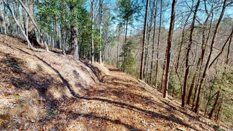 0 Red Oak Trail Ellijay GA 30540