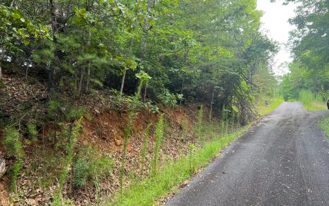 Lot 13 The Preserve At Beach Mountain Brasstown NC 28902