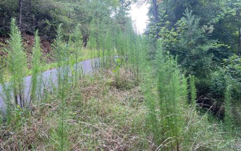 Lot 13 The Preserve At Beach Mountain Brasstown NC 28902