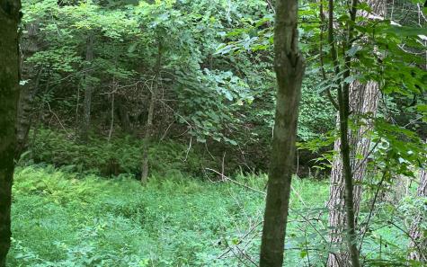 Lot 13 The Preserve At Beach Mountain Brasstown NC 28902