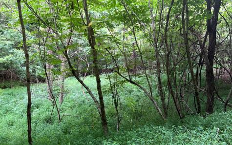 Lot 13 The Preserve At Beach Mountain Brasstown NC 28902