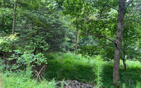 Lot 13 The Preserve At Beach Mountain Brasstown NC 28902