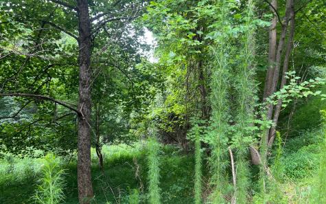 Lot 13 The Preserve At Beach Mountain Brasstown NC 28902