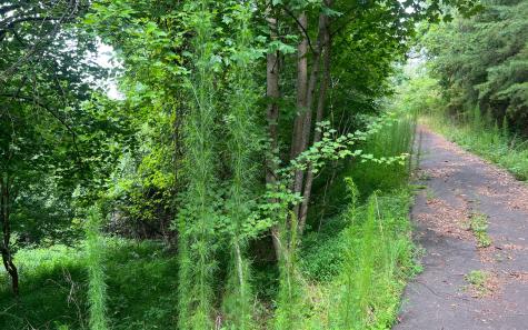 Lot 13 The Preserve At Beach Mountain Brasstown NC 28902