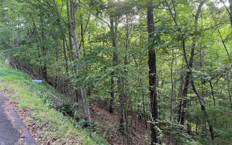 Lot 13 The Preserve At Beach Mountain Brasstown NC 28902