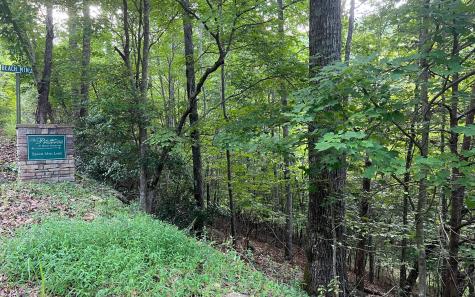 Lot 13 The Preserve At Beach Mountain Brasstown NC 28902