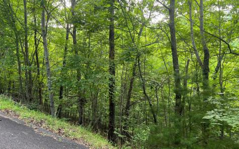 Lot 13 The Preserve At Beach Mountain Brasstown NC 28902