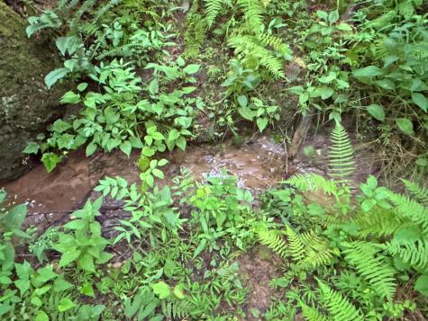 10AC Yonder Way Talking Rock GA 30175