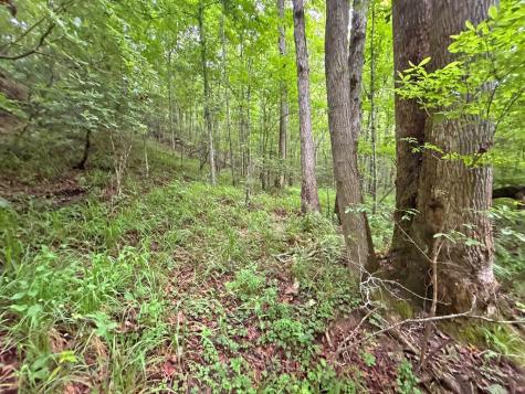 10AC Yonder Way Talking Rock GA 30175