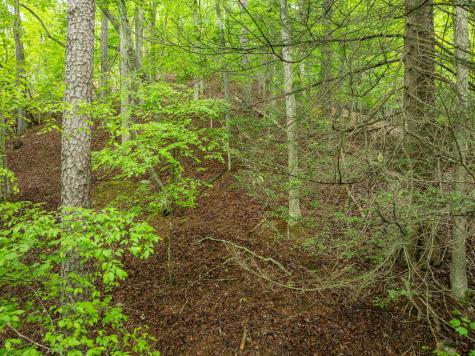 Lt 2601 Parker Way Ellijay GA 30540