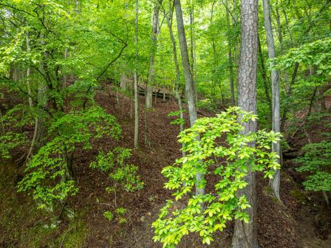 Lt 2601 Parker Way Ellijay GA 30540