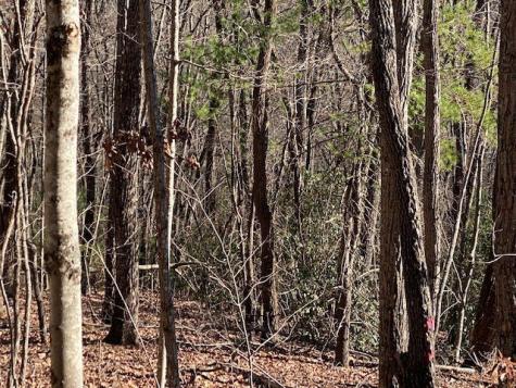 5.91 Ac Sunrock Mountain Trace Blue Ridge GA 30513