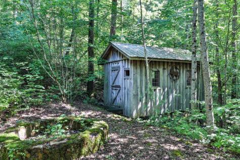 51+ Acre Mountain Cove Way Cherry Log GA 30522