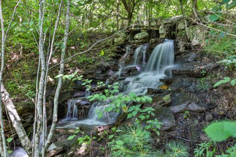 51+ Acre Mountain Cove Way Cherry Log GA 30522