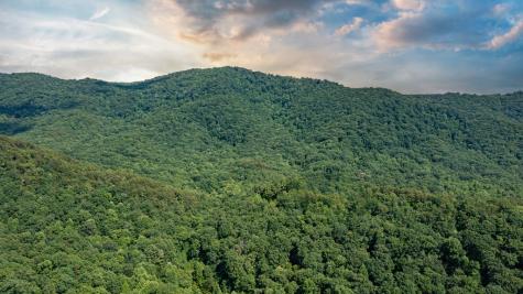 51+ Acre Mountain Cove Way Cherry Log GA 30522