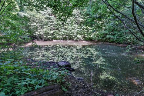 51+ Acre Mountain Cove Way Cherry Log GA 30522