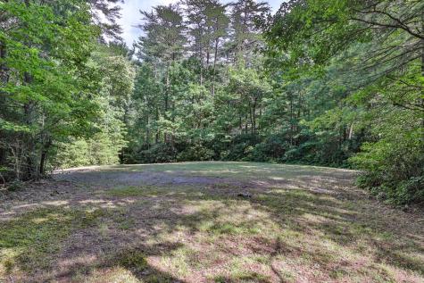 51+ Acre Mountain Cove Way Cherry Log GA 30522