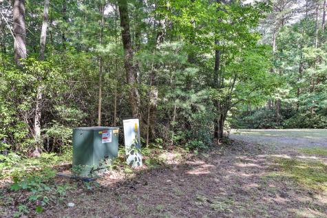 51+ Acre Mountain Cove Way Cherry Log GA 30522