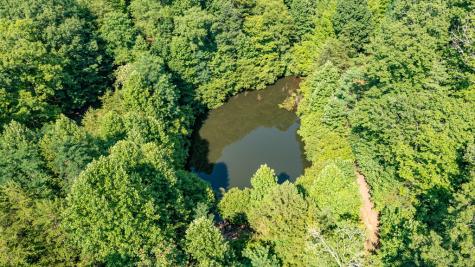 51+ Acre Mountain Cove Way Cherry Log GA 30522