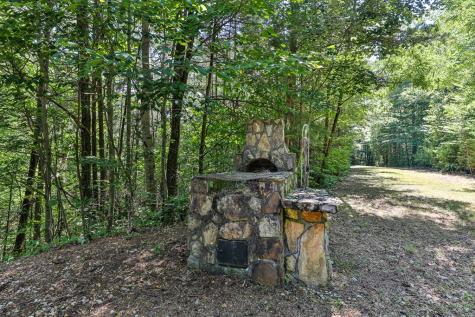 51+ Acre Mountain Cove Way Cherry Log GA 30522