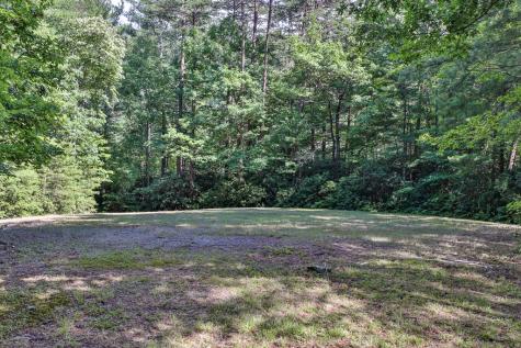 51+ Acre Mountain Cove Way Cherry Log GA 30522