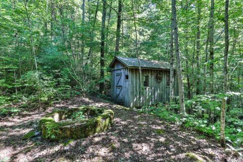 51+ Acre Mountain Cove Way Cherry Log GA 30522