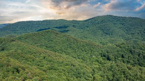 51+ Acre Mountain Cove Way Cherry Log GA 30522