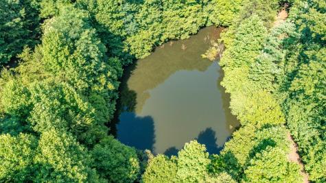 51+ Acre Mountain Cove Way Cherry Log GA 30522