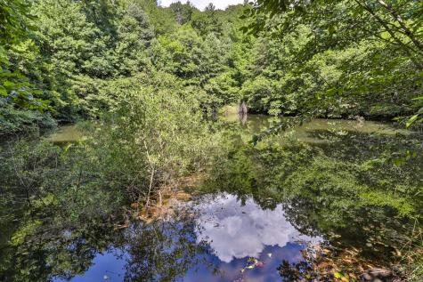 51+ Acre Mountain Cove Way Cherry Log GA 30522